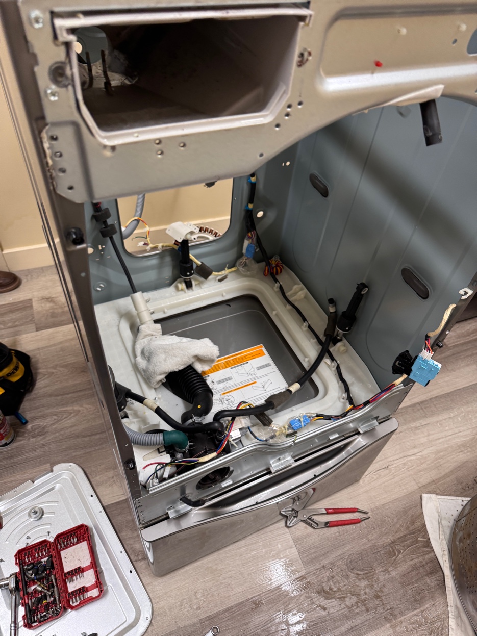 Front-load washer interior — drum, hoses, door seal